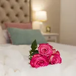 Luxury Saint Jacob Трогир